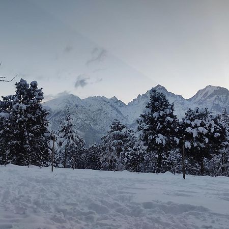 Silk Route Home Stay Kalpa Buitenkant foto
