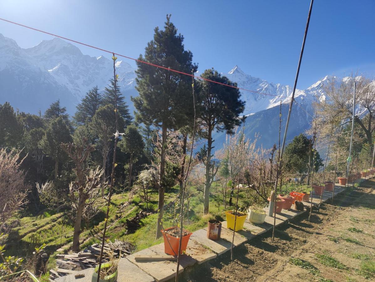 Silk Route Home Stay Kalpa Buitenkant foto